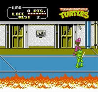 Teenage Mutant Ninja Turtles II: Arcade Game (Complete in Box)