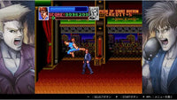 Double Dragon Collection (Import)