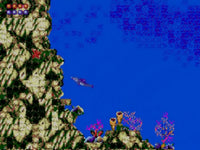 Ecco the Dolphin (Cartridge Only)