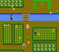 Ikki (Cartridge Only)