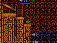 Hook (Cartridge Only)