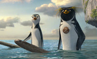 Surf's Up (UMD Video) (Pre-Owned)