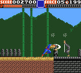 Ninja Gaiden (Cartridge Only)