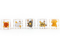 CATAN Inclusion Dice Set