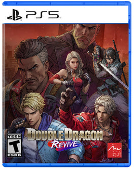 Double Dragon Revive (Pre-Owned)