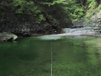 Reel Fishing Wild (Pre-Owned)