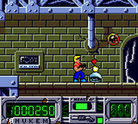 Duke Nukem (Cartridge Only)