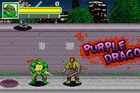 Teenage Mutant Ninja Turtles (Cartridge Only)