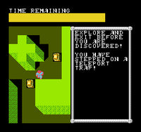 Advanced Dungeons & Dragons Hillsfar (Cartridge Only)