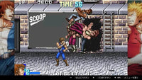 Double Dragon Collection (Import)