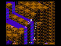 Snake Rattle n Roll (Cartridge Only)