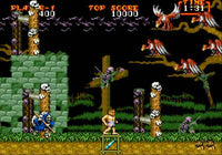 Ghouls 'N Ghosts (Complete in Box)
