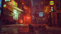 Stray (Pre-Owned)