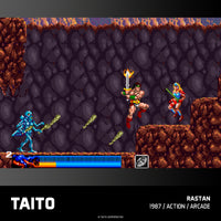 Taito Arcade 2