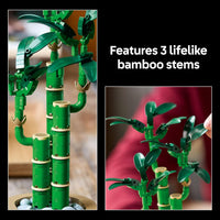 LEGO The Botaniclas Collection: Lucky Bamboo