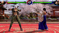 Virtua Fighter 5 R.E.V.O. World Stage (30th Anniversary Edition)