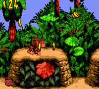 Donkey Kong Country (Complete)