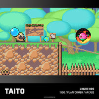 Taito Arcade 2