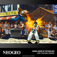 Neo Geo Arcade 2