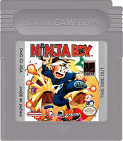Ninja Boy (Complete)