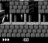 Prince of Persia (Cartridge Only)