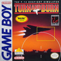 Turn and Burn: The F-14 Dogfight Simulator (Cartridge Only)