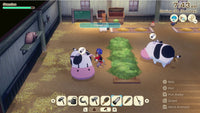 Story Of Seasons: Grand Bazaar