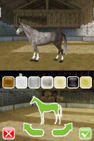 My Horse & Me: Riding for Gold (Cartridge Only)