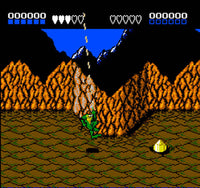 Battletoads (Cartridge Only)