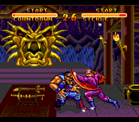 Double Dragon V The Shadow Falls (Cartridge Only)
