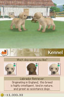 Nintendogs Lab & Friends (Pre-Owned)