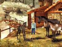 Petz Horsez 2 (Pre-Owned)