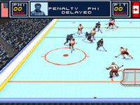 Brett Hull Hockey '95 (Cartridge Only)