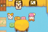 Hamtaro Ham Ham Heartbreak (Cartridge Only)