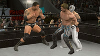 WWE SmackDown Vs. Raw 2009 (Cartridge Only)