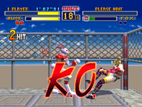 Bloody Roar (Pre-Owned)