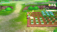 Story Of Seasons: Grand Bazaar