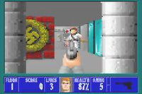 Wolfenstein 3D (Cartridge Only)