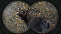 Cabela's Big Game Hunter: Pro Hunts (Pre-Owned)