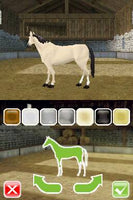 My Horse & Me: Riding for Gold (Cartridge Only)