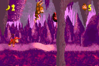 Donkey Kong Country (Cartridge Only)