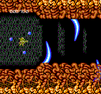 Abadox (Cartridge Only)