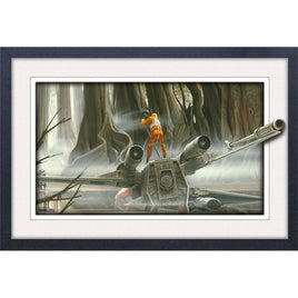 Star Wars Dagobah 11" x 17" Framed Print