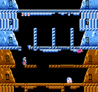 Ice Climber (Cartridge Only)