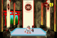 Donkey Kong Country 3 (Cartridge Only)