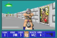 Wolfenstein 3D (Cartridge Only)