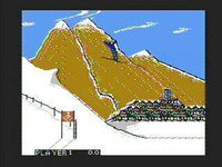 Winter Games (Cartridge Only)