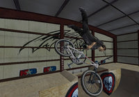 Mat Hoffman's Pro BMX 2 (Pre-Owned)