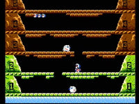 Ice Climber (Cartridge Only)
