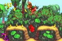 Donkey Kong Country (Cartridge Only)